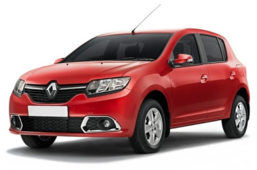 Кузовные запчасти в цвет для Renault Sandero II в Кирове